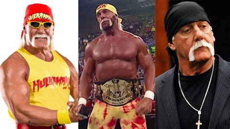 hulk hogan wikipedia|how much is hulk hogan worth.